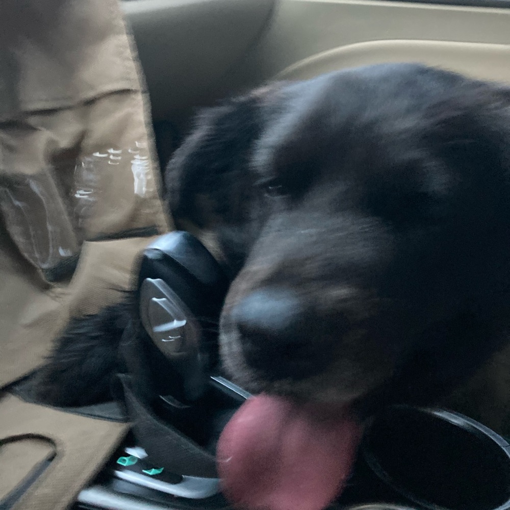 Meet your Posher, Carly